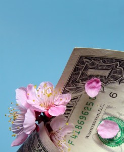 Cherry flowers and dollar